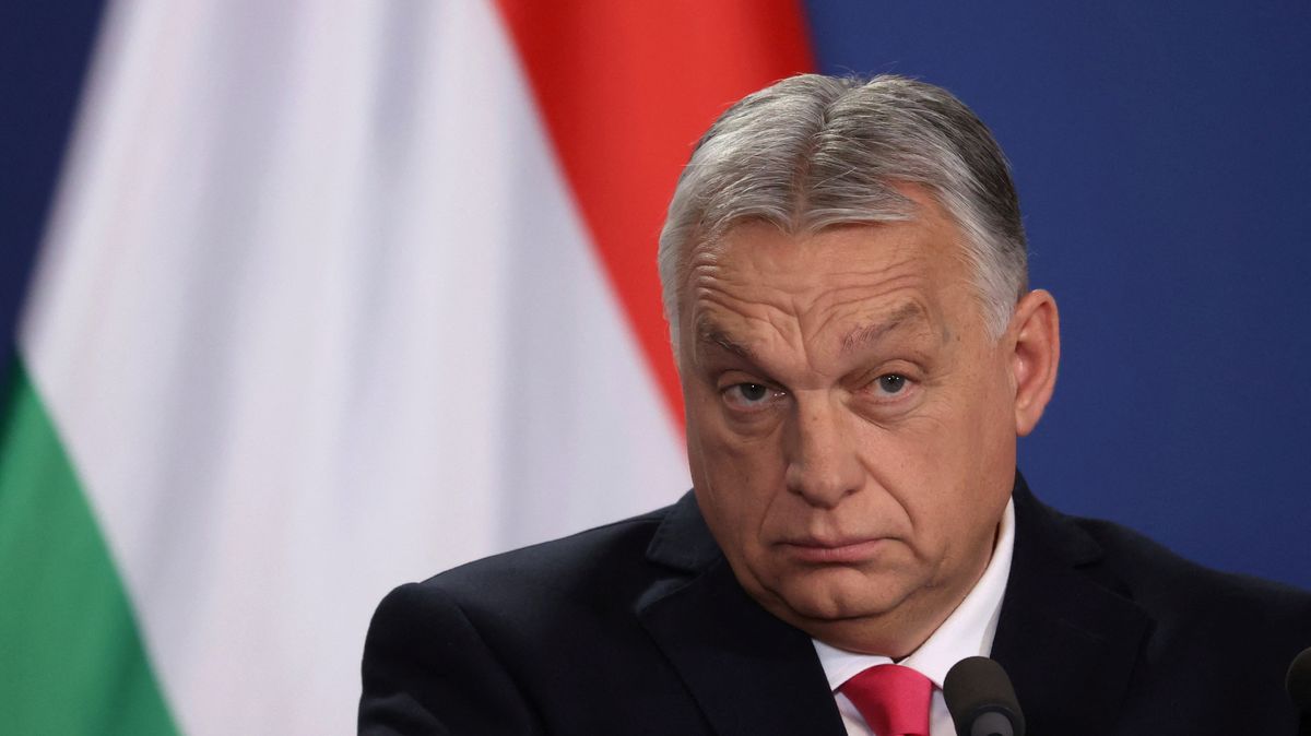 Po regulaci marží obchodníků některé potraviny v Maďarsku výrazně zlevnily