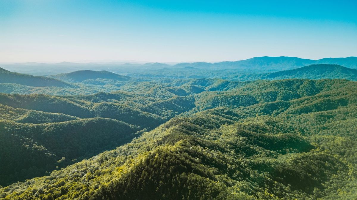Nejoblíbenější národní park v Americe fascinuje nekonečnými lesy