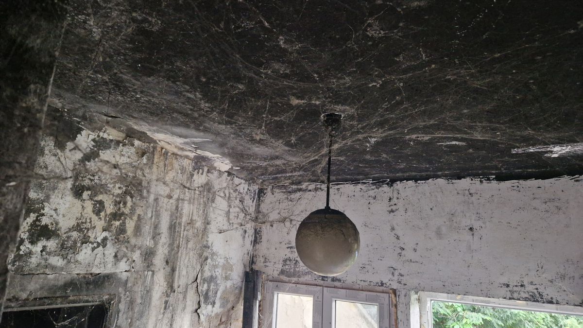 Foto: Plíseň, výkaly, vykopnuté dveře. Část nájemníků v Židenicích vrací radnici byty v žalostném stavu