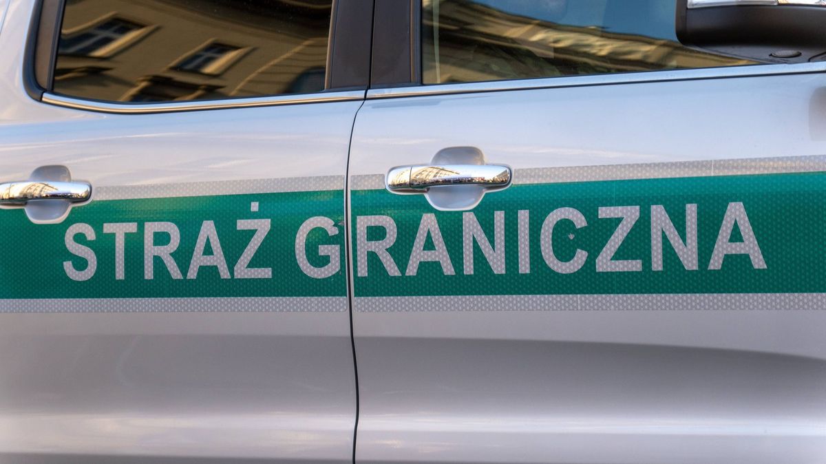 V Polsku zatkli Ukrajinku odsouzenou za prodej 56 lidských ledvin