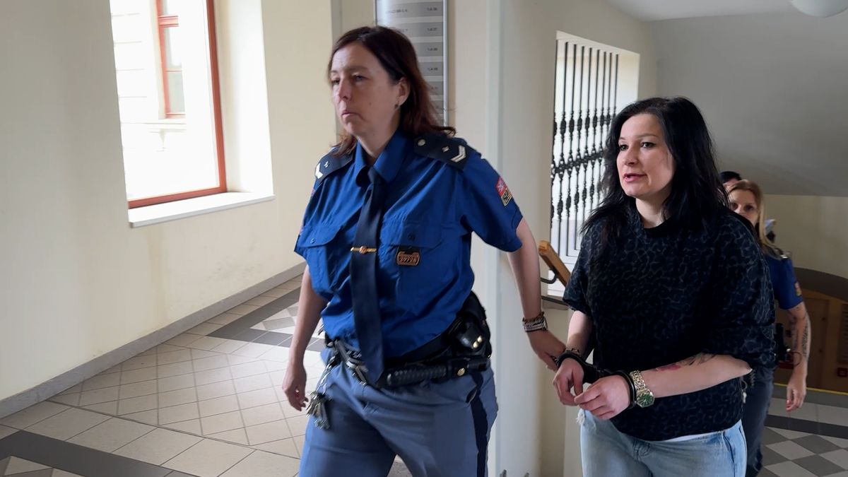 Prala peníze a děti nechávala o hladu. Plzeňský soud dal Ukrajince podmínku a vyhostil ji