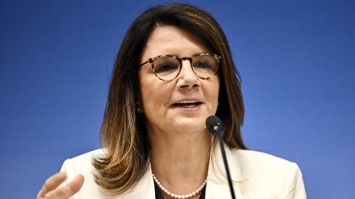 Státy by do obranných rozpočtů měly zahrnout i výdaje na klima, nabádá hlavní organizátorka klimatického summitu