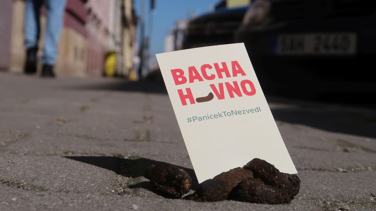 Bacha h*vno. Svérázná plzeňská iniciativa označuje psí hromádky na chodnících