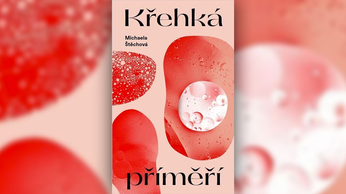 RECENZE: Těhotenství jako nejtíživější životní období. Křehká příměří ničí mýtus