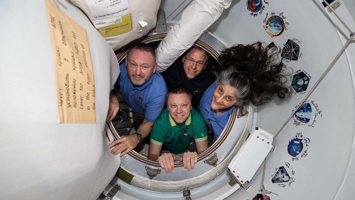 FOTO: Vesmírná odysea dvou astronautů skončila, vrátili se na Zem a vítali je delfíni