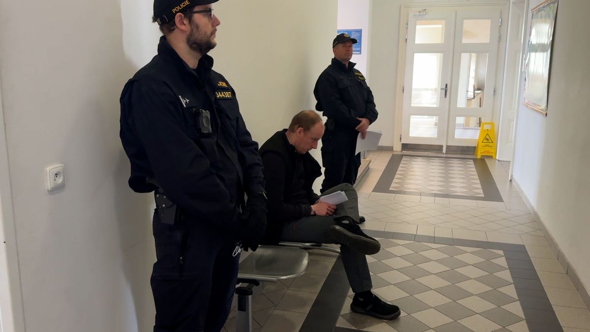 Sexuální deviant z Plzeňska půjde na 5 let do vězení a pak do detence