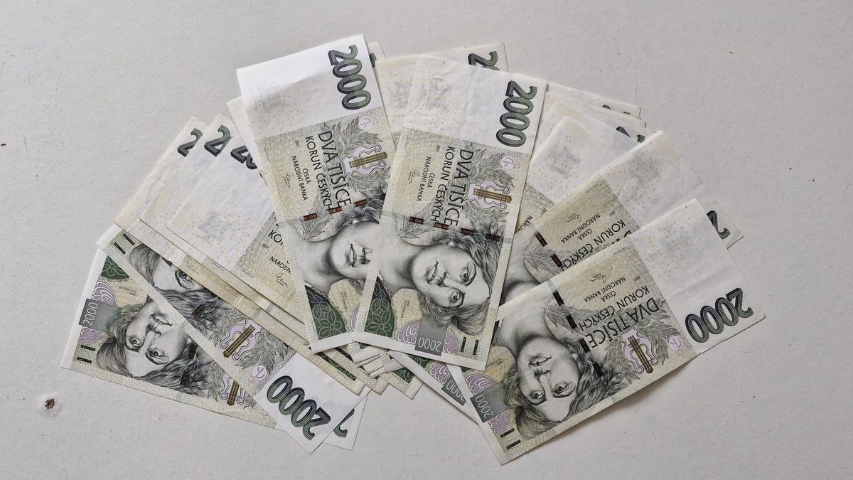 Ekonomická ředitelka zpronevěřila firmě 57 milionů. Nakupovala kabelky, šperky a dovolené
