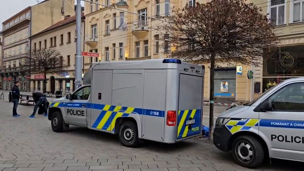 Policie obvinila dva cizince ze smrti muže v Pardubicích