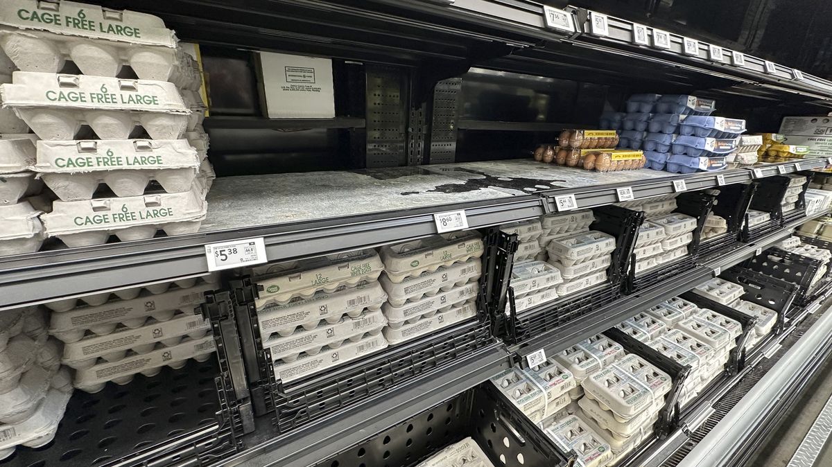 USA požádaly evropské státy o pomoc s dovozem vajec. Včetně Dánska