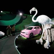 Plameňák se objevil už na maskovaných prototypech elroqu.