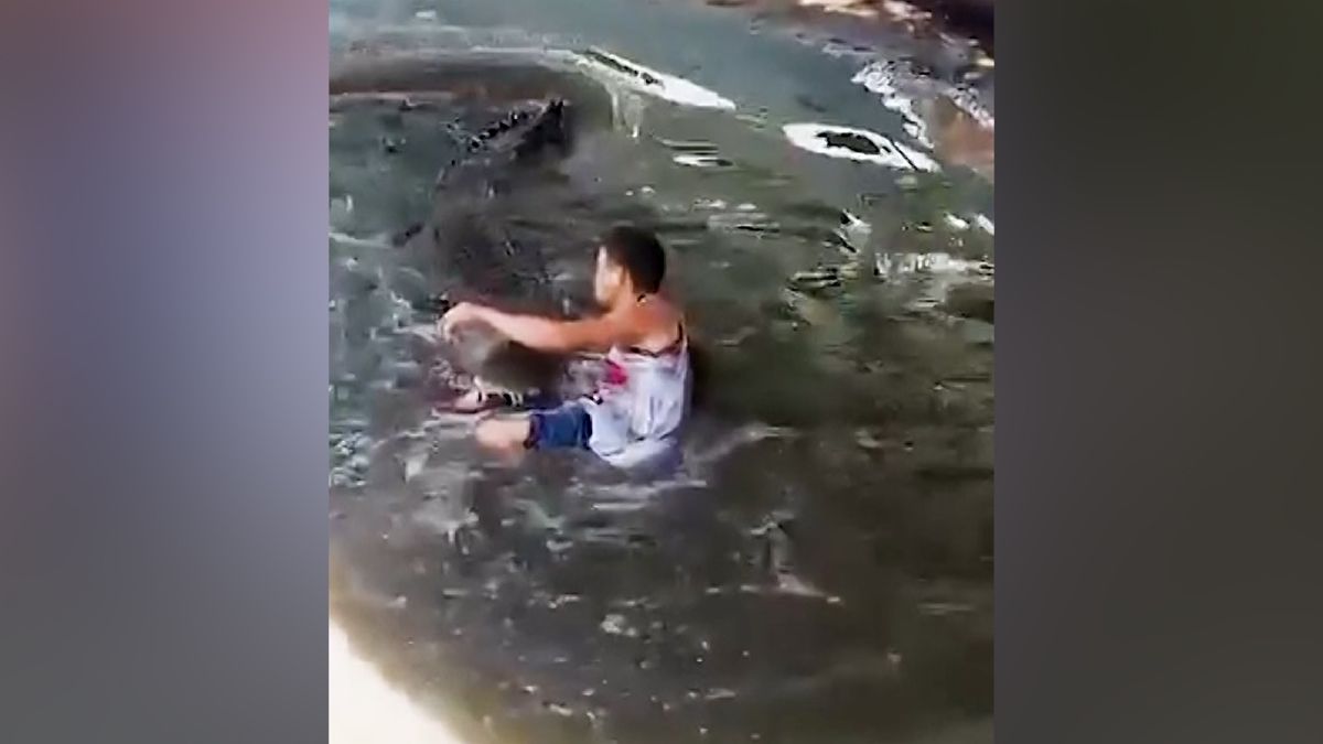 Turista šel do výběhu ke krokodýlovi pro selfie v domnění, že je to atrapa. Nebyla