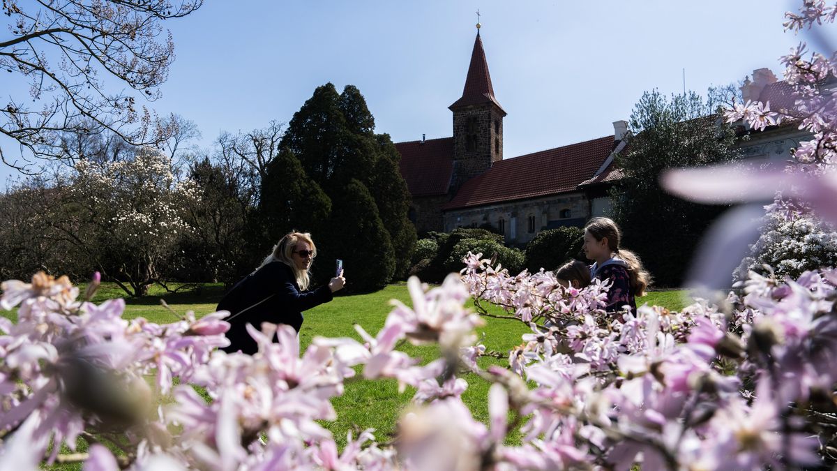 FOTO: Průhonický park, který je mistrovským krajinářským dílem, ozdobilo jaro