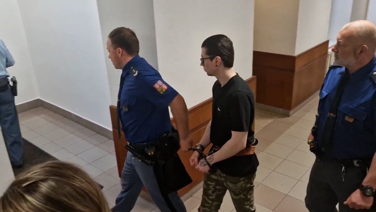 Pobodal šroubovákem kamaráda kvůli potkanovi, soud mu potvrdil 11,5 roku