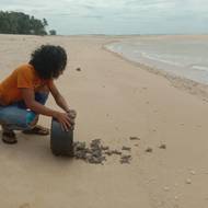 Do moře už organizace vypustila přes čtyři miliony mláďat.