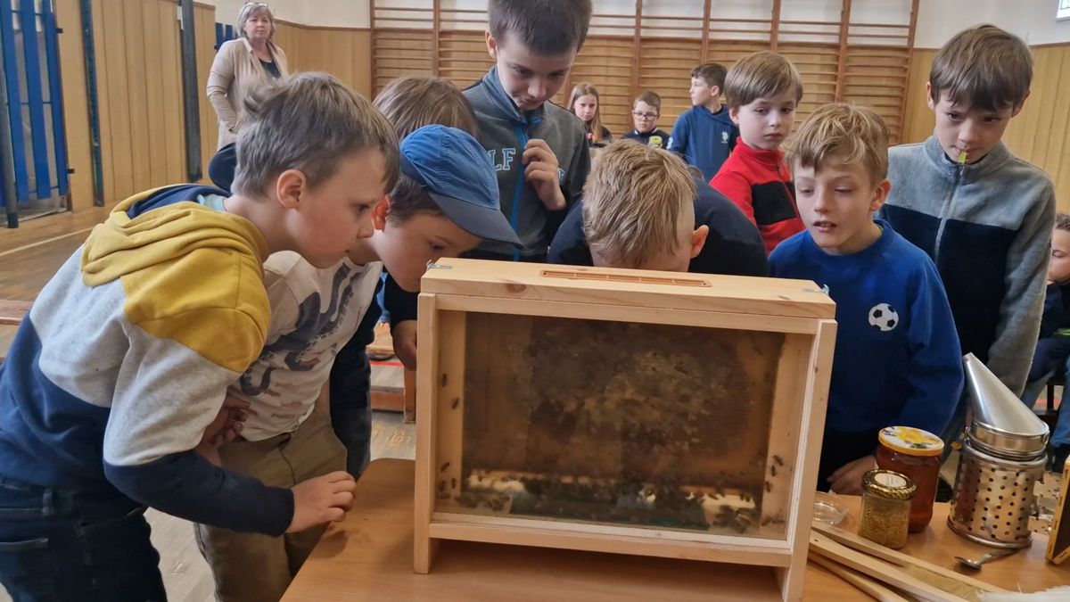 Včelařka přivezla do školy v Ostravě živé včely. Děti byly nadšené