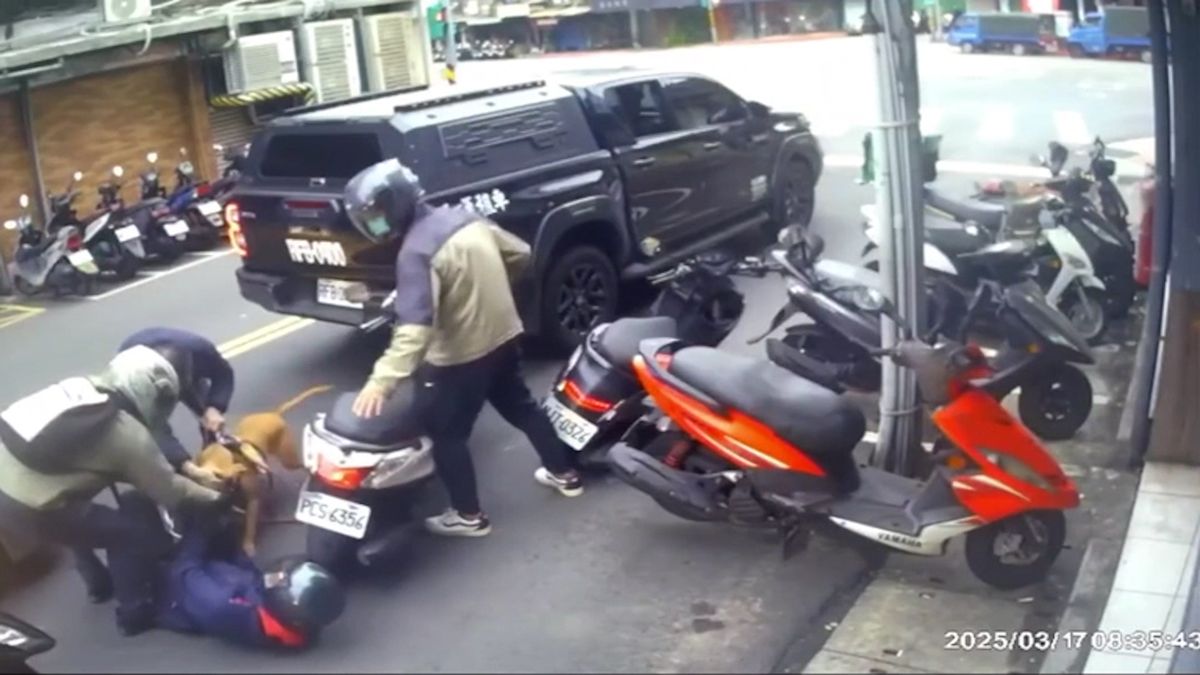Pitbull v Tchaj-peji vyskočil z okna auta a zakousl se do motorkáře