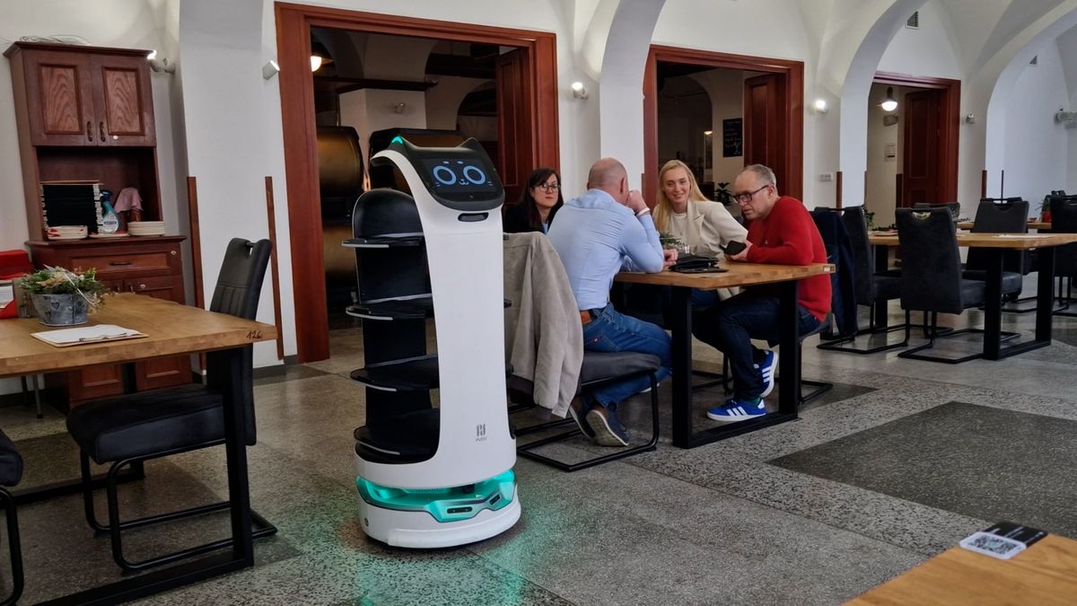 Majitelka restaurace vyřešila nedostatek personálu robotem. Kočička Bella uveze osm talířů a zazpívá k narozeninám