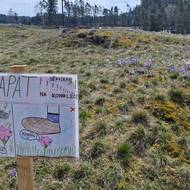 Loni se do kampaně na záchranu konikleců zapojily i místní děti.