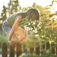 Zaoblené i špičaté vršky dřevěných latěk odvádějí dešťovou vodu rychleji, než je tomu u rovně seříznutých plotovek.