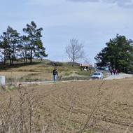 Přírodní památka na vrchu Kobylinec u Trnavy na Třebíčsku se rozkládá na ploše o rozloze zhruba půl hektaru.