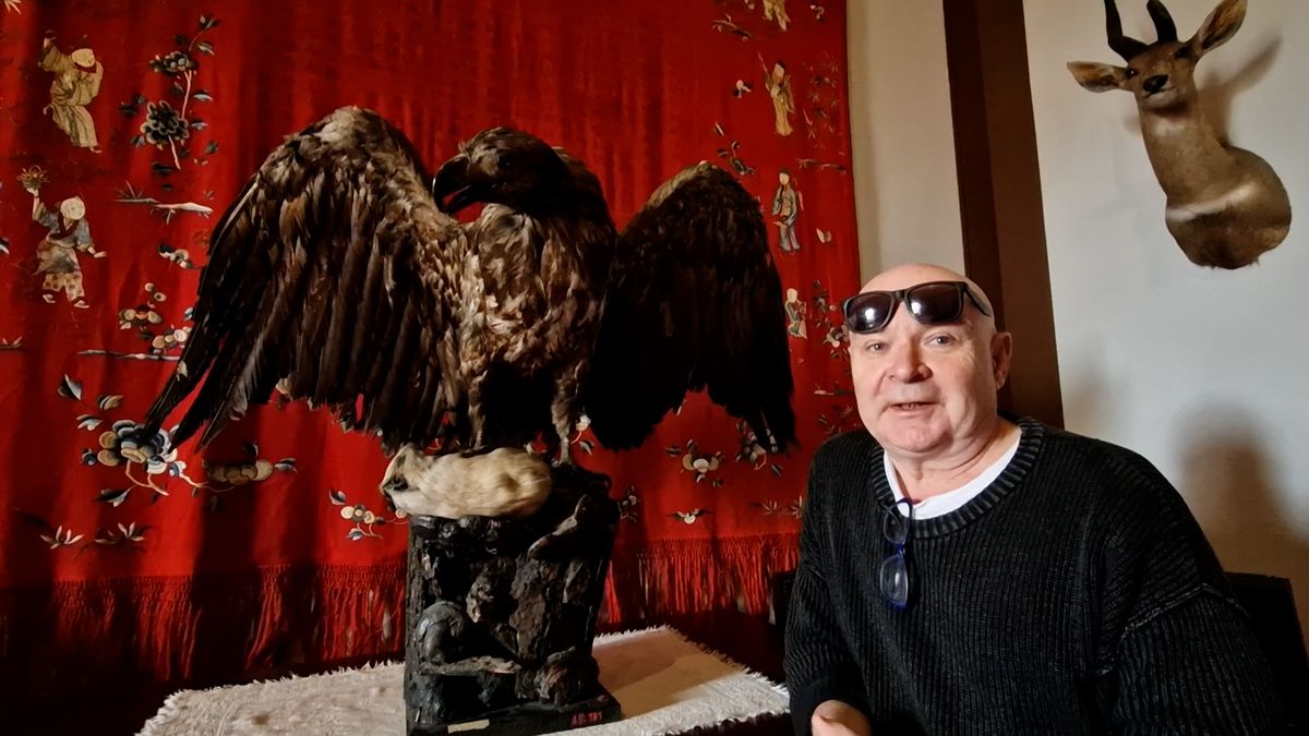 Na kunínský zámek se po 143 letech vrátil orel mořský. Našli ho na gymnáziu v kabinetu