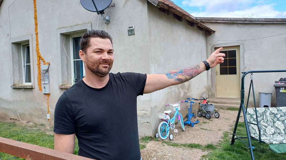 Rozkládající se těla krav v Maďarsku místní obyvatele děsí, úřadům nevěří