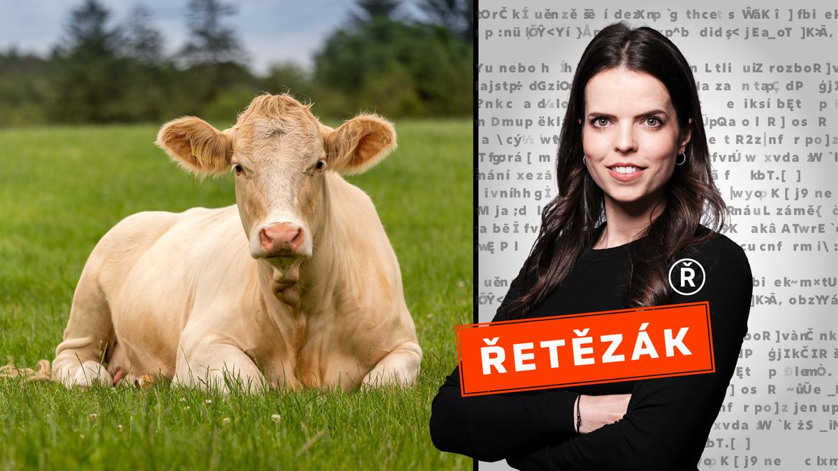 Další covid a bruselská pomsta. Divoké konspirace o slintavce a kulhavce zaplavily sociální sítě