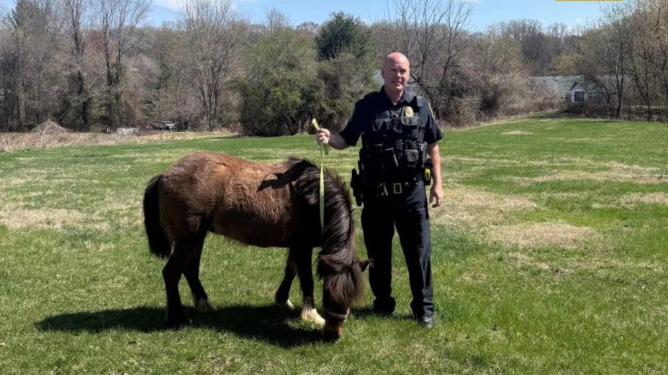 Policista chytal na silnici poníka, pak jej rovnou adoptoval