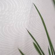 Tapety rozhodně nejsou překonané. Když se zvolí jemný, citlivý motiv, funguje skvěle i v moderním interiéru.