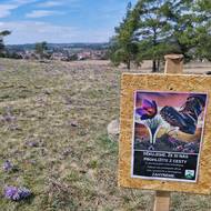 Místní se loni snažili zastavit turisty výraznými cedulemi, letos už kraj přistoupil k důraznějším omezením. 