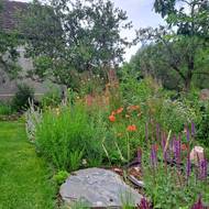 Nemovitost je na velké parcele, v blízkosti lesů a řeky Sázavy.