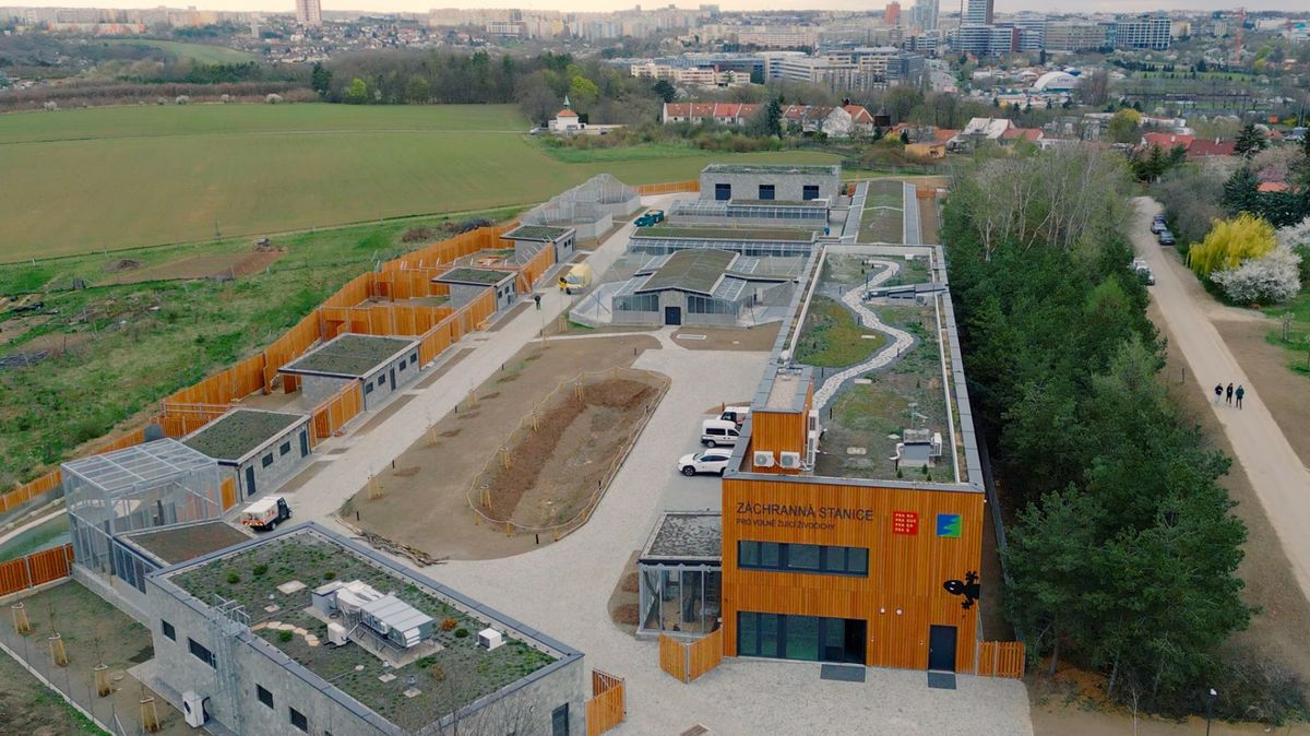 Zraněné volně žijící živočichy v Praze ošetří nová záchranná stanice