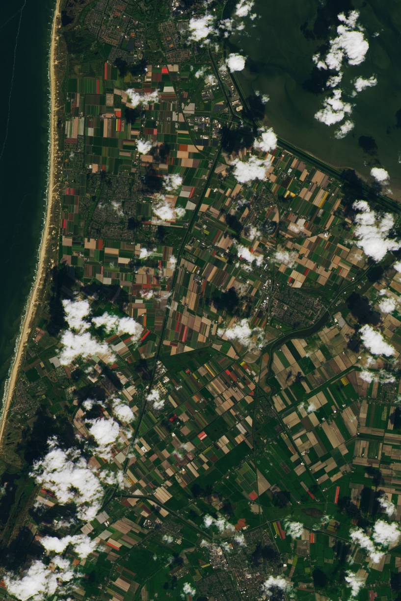 Jako bonus přikládáme satelitní snímek pořízený společností NASA v loňském dubnu. Lze na něm vidět rozkvetlá pole na severu Nizozemska zhruba 35 kilometrů od Amsterdamu.