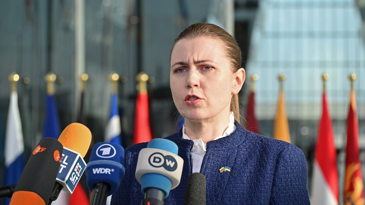 Kazetová munice a protipěchotní miny. „Rusové už nikdy nepřekročí hranice mé země,“ říká litevská ministryně obrany