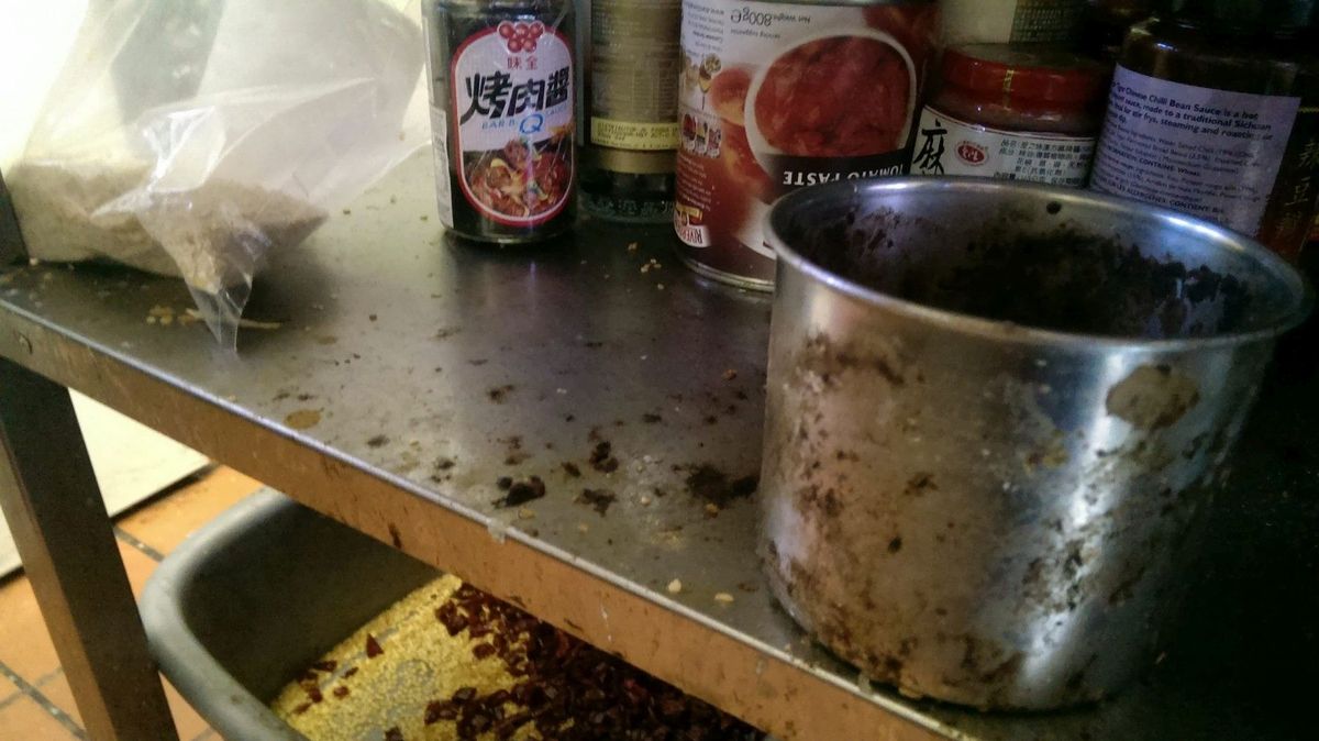 Čínská restaurace v Madridu servírovala holuby z ulice jako pekingskou kachnu. To nejhorší ale kontrolory ještě čekalo