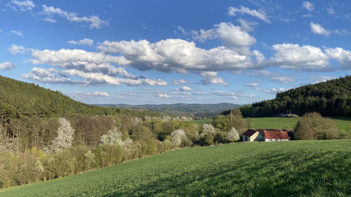 Bouřky vystřídá ochlazení, o víkendu dorazí noční mrazy