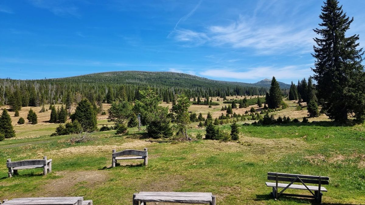 Do přísně střeženého srdce Šumavy možná ještě letos. Ale jen s drahou vstupenkou