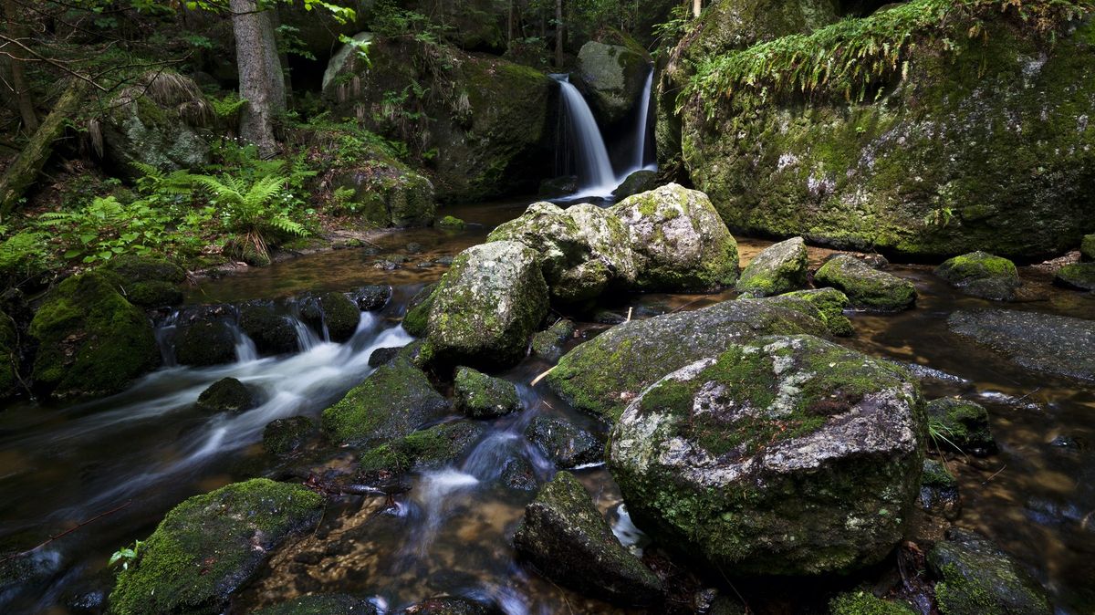 Za nejbohatší přírodou Rakouska i nevšedními výlety do Waldviertelu