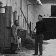 Vyhrál alespoň někdo? My, budovatelé nové republiky, záběry z let 1950–1953