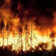 Hořet na skládce volně ložených plastů v Rynholci u Nového Strašecí začalo v pondělí po šesté hodině odpoledne.