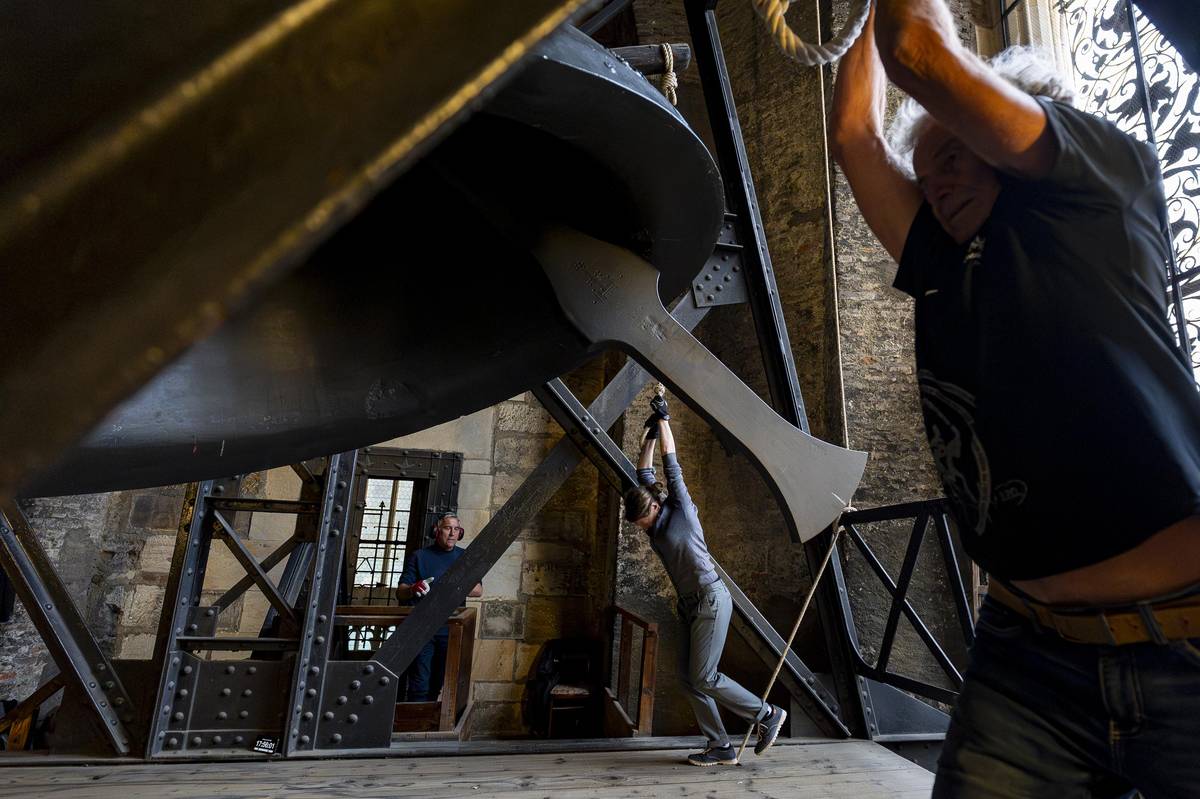 Rozezvonění tak těžkého zvonu jako je Zikmund je velmi náročná činnost a vyžaduje čtyři zvoníky najednou.