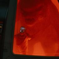 Někdy je potřeba pro své přežití nechat jiné zemřít.