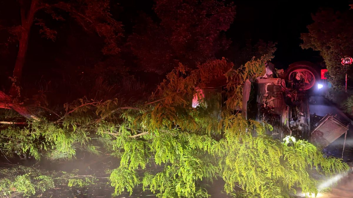 Octavia při nehodě u Prahy přerazila strom a skončila na střeše. Po řidiči se slehla zem