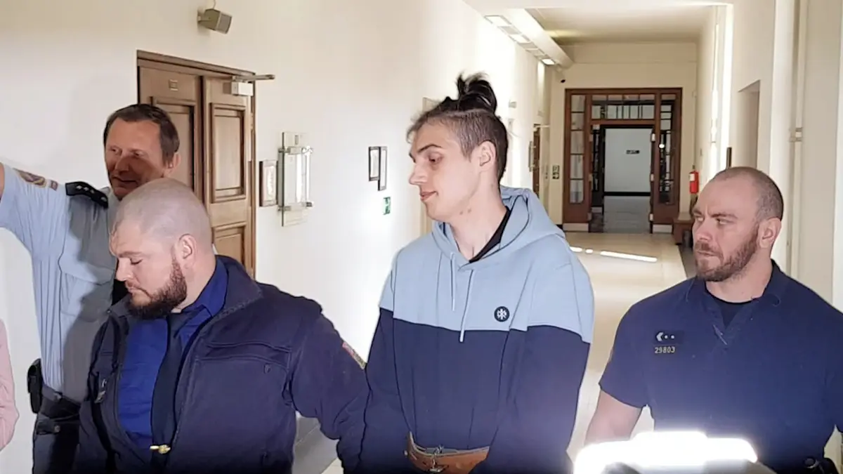 Trest 30 let pro mladíka za vraždu a přípravu dalších v Hradci Králové platí