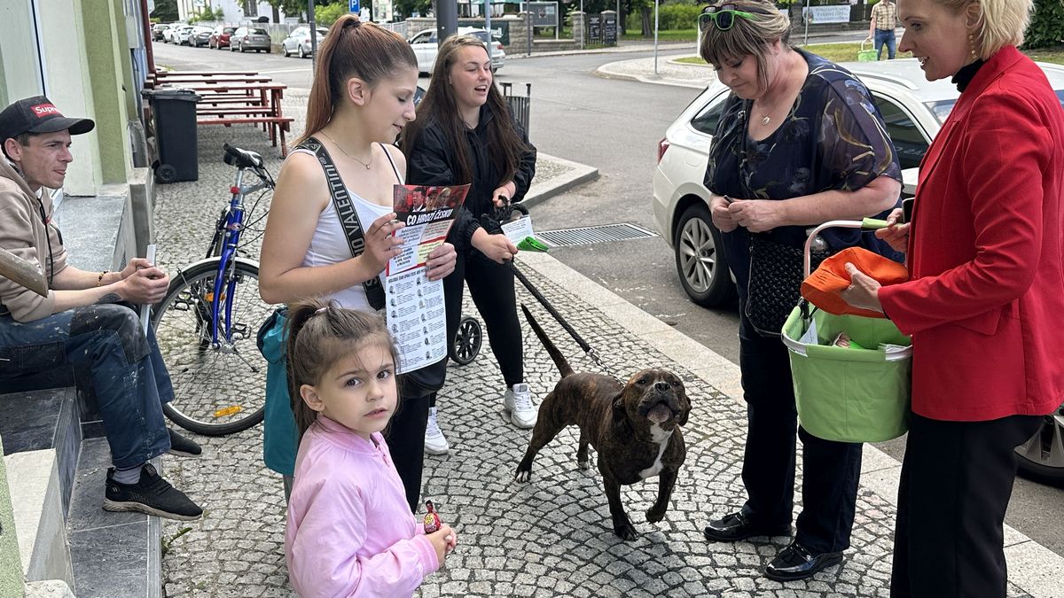 „To byl poslanec?“. Kampaň vládní koalice ve Šluknovském výběžku začala hodně zvolna