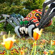 Celý Legoland se pyšní velkým citem pro detail. Výrobky z lega se totiž nenacházejí jen na atrakcích, ale též všude v okolí. Z lega je vskutku leccos.