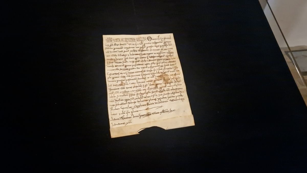 Hradecké muzeum na pouhých osmnáct dní vystaví své nejvzácnější exponáty