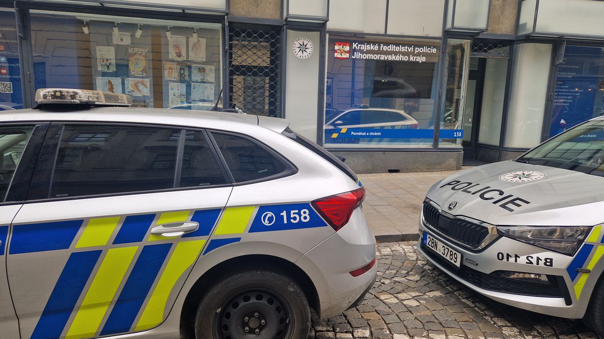 Úsměvné případy brněnských policistů. Talíř na kapotě nebo divoké prase u kavárny