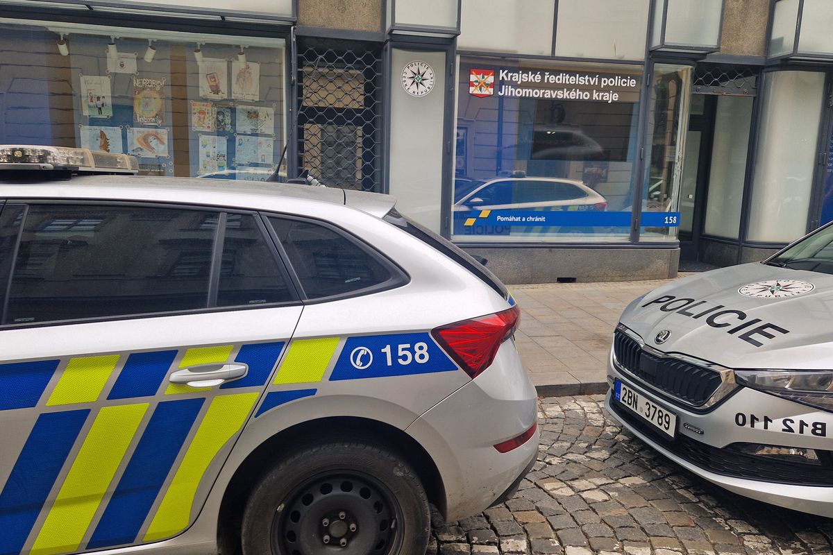 Úsměvné případy brněnských policistů. Talíř na kapotě nebo divoké prase u kavárny 