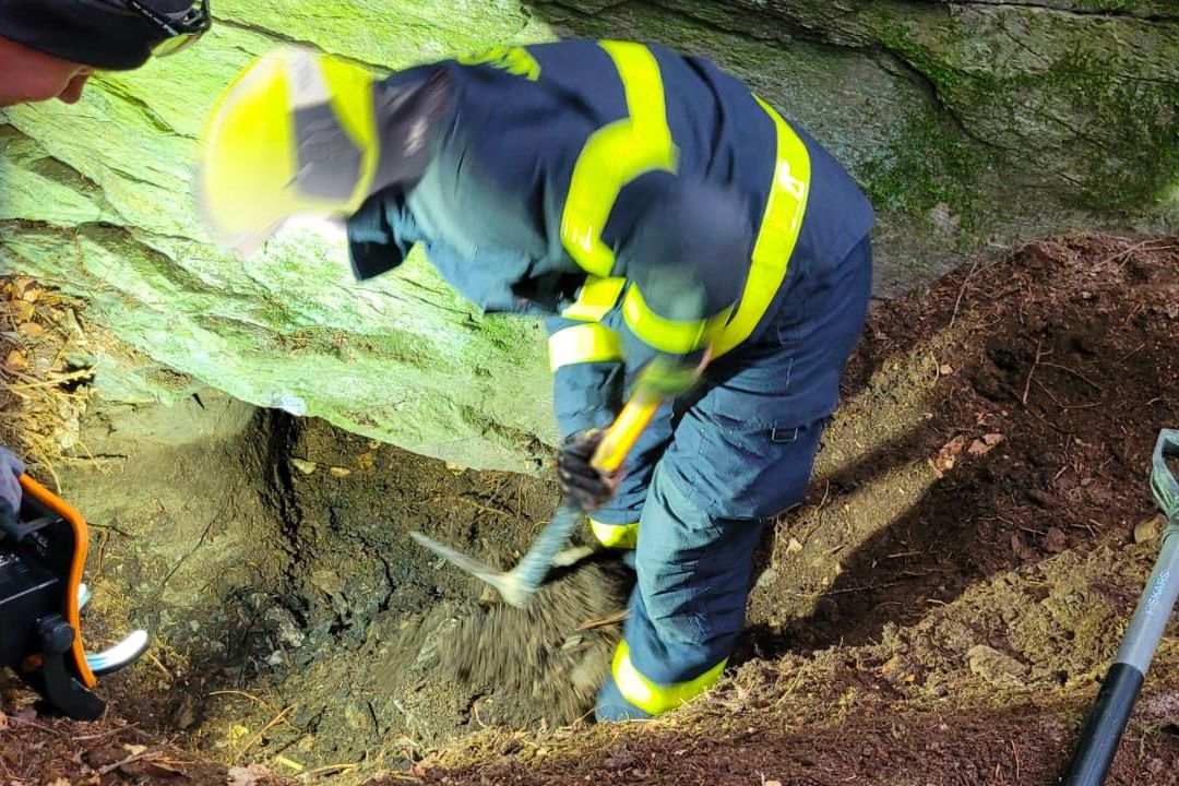 Zvědavá fena na Bruntálsku zůstala uvězněná v jezevčí noře. Prokopali se k ní hasiči